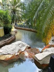 Westcove Condominium (D5), Condominium #591999061